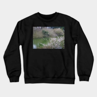 Ducks on the Lake Crewneck Sweatshirt